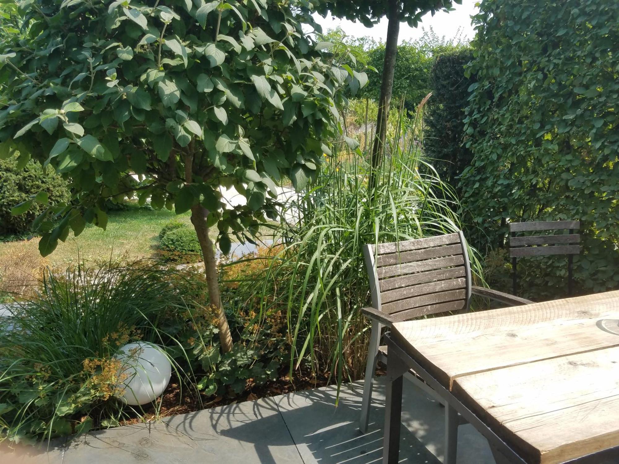 Webergarten Oestrich-Winkel Room photo